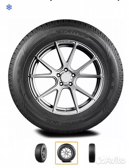 Antares Grip Winter Plus 215/55 R17 98H