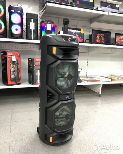 Новая огромная Bluetooth колонка караоке 2024