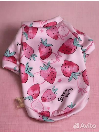 Одежда обувь для собак