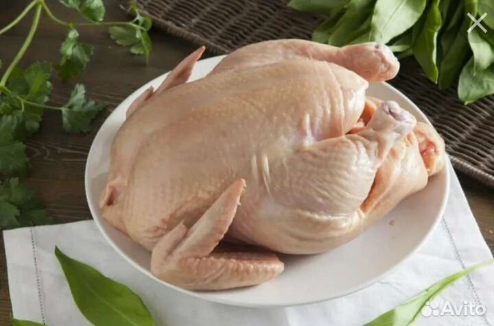Мясо домашнего бройлера