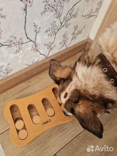 Игрушка развивающая для собак Triol