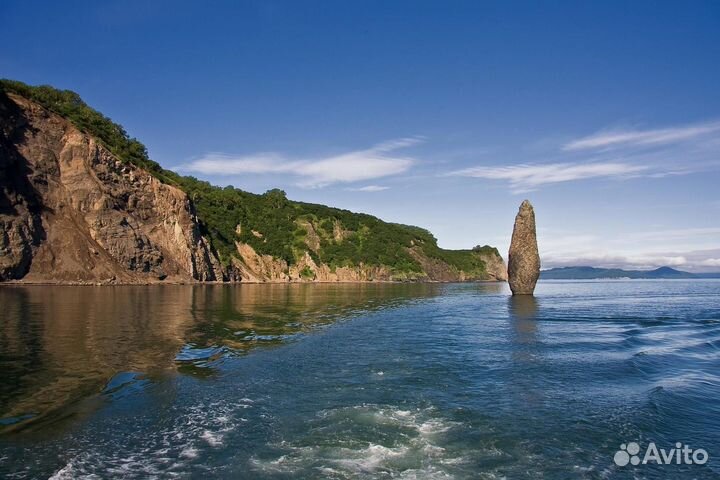 Тур на Камчатку из Москвы, 8 дней