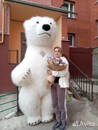 Медведь поздравление