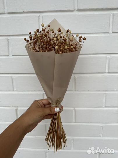 Лен сухоцвет