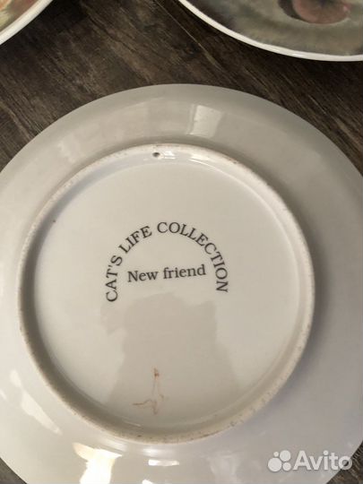 Тареки настенные