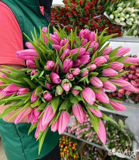 Цветы тюльпаны с доставкой