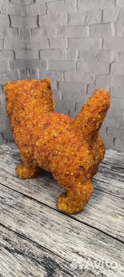 Котик в янтаре