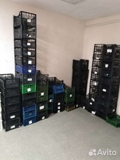 Пластиковые ящики для овощей бу