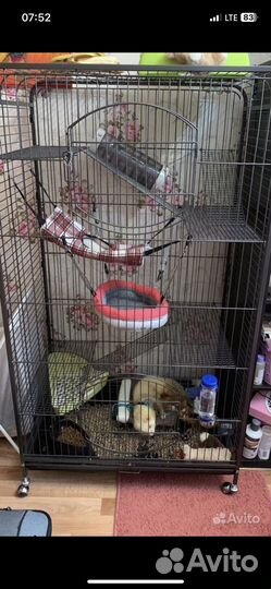 Клетка для грызунов