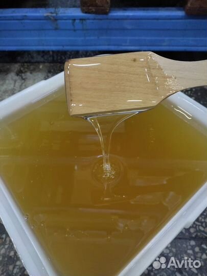 Эспарцетовый мёд оптом