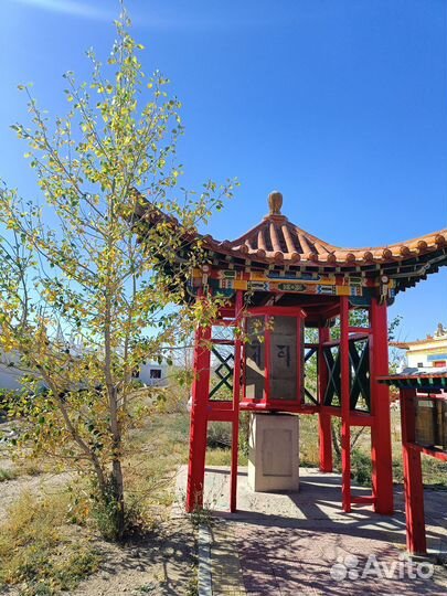 Экскурсии по Монголии