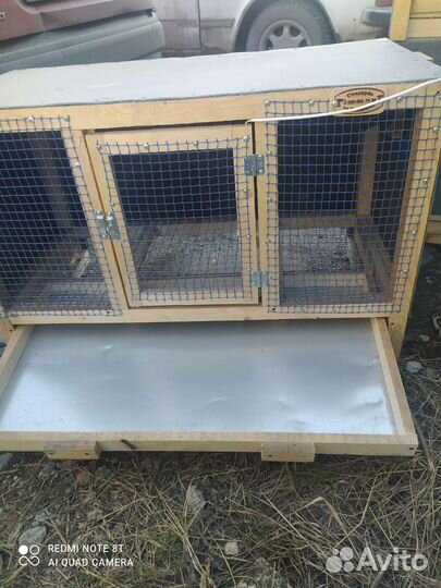 Брудер для разведения цыплят