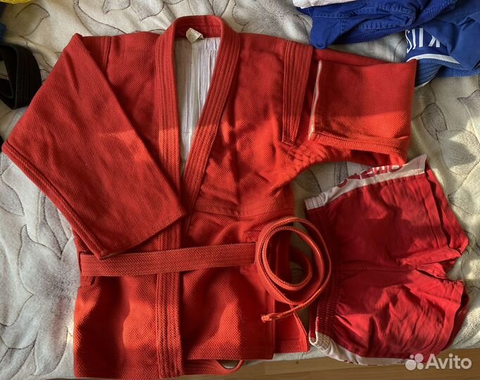 Самбовка красная