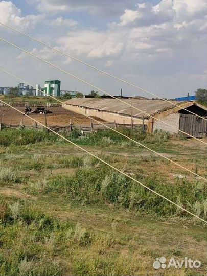 Животноводческая ферма