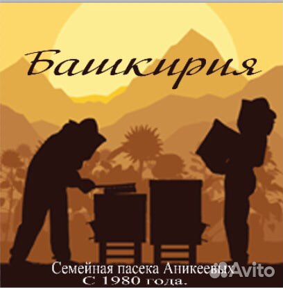 Мед Башкирский,сотовый, со своей пасеки