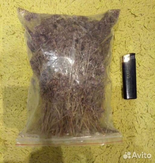 Березовые веники