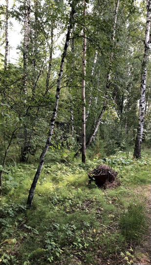 Участок 35 сот. (ИЖС)