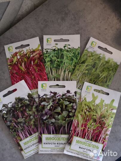 Микрозелень семена
