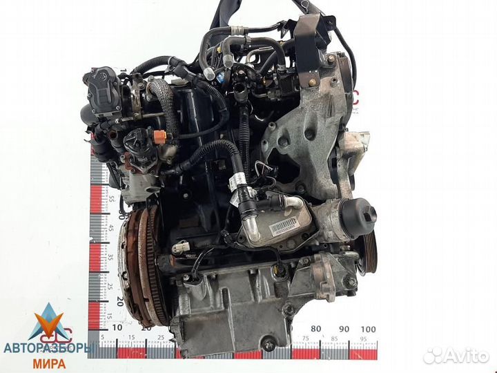 Форсунка Opel Insignia (A) 2010 55566050