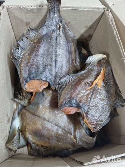 Свежемороженая горбуша