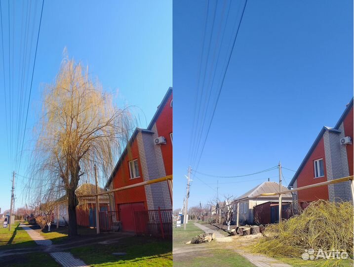 Валка, удаление, обрезка деревьев, арбористика
