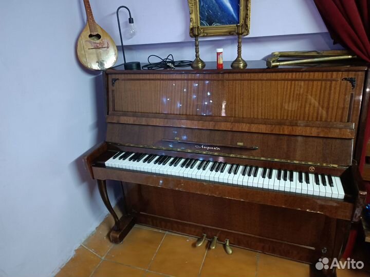 Отдам бесплатно самовывоз(Лирика и Казань)