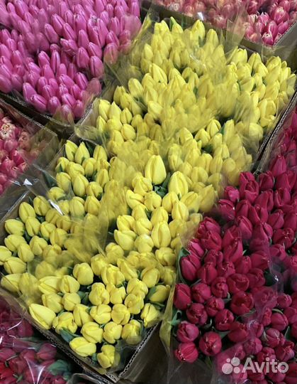 Цветы букеты с доставкой,тюльпаны,8 марта