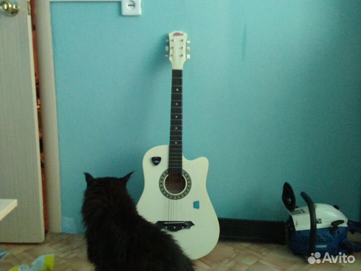 Акустическая гитара