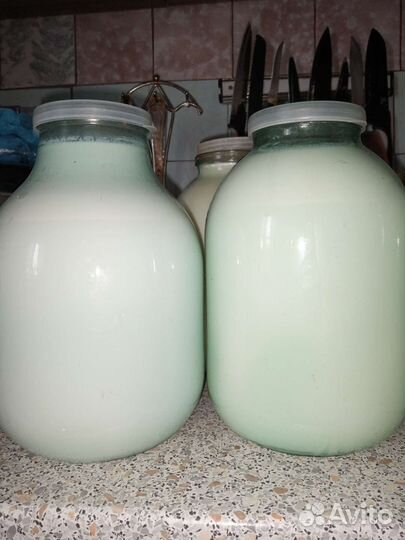 Молоко коровье домашнее