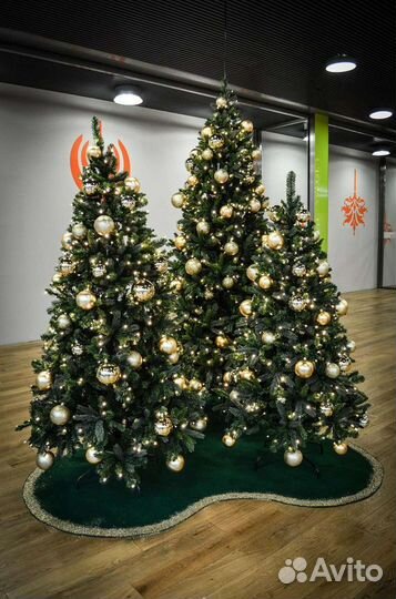 Ёлка в аренду Ёлка на прокат
