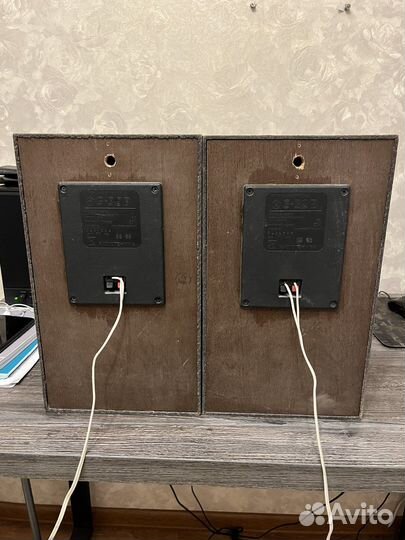 Колонки radiotehnika s 30B