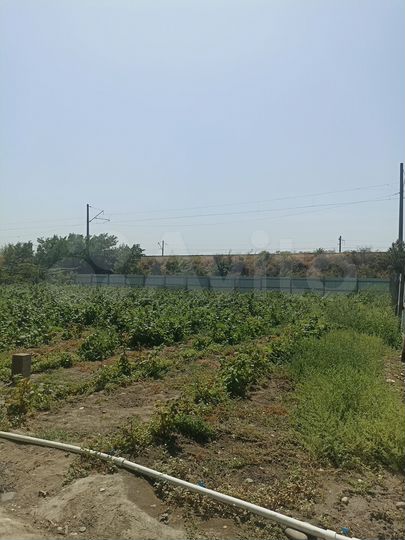 Участок 17,5 сот. (СНТ, ДНП)
