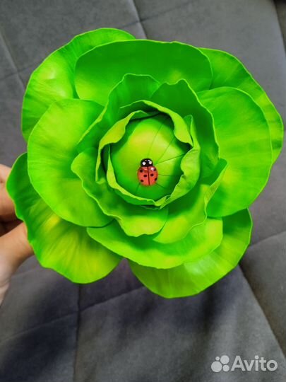 Осенний ободок Капуста Подсолнух Морковь