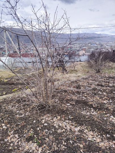 Дом 64,6 м² на участке 6 сот.