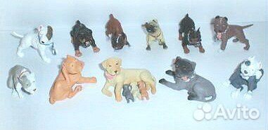 Взрослые собаки, щенки, собаки япония