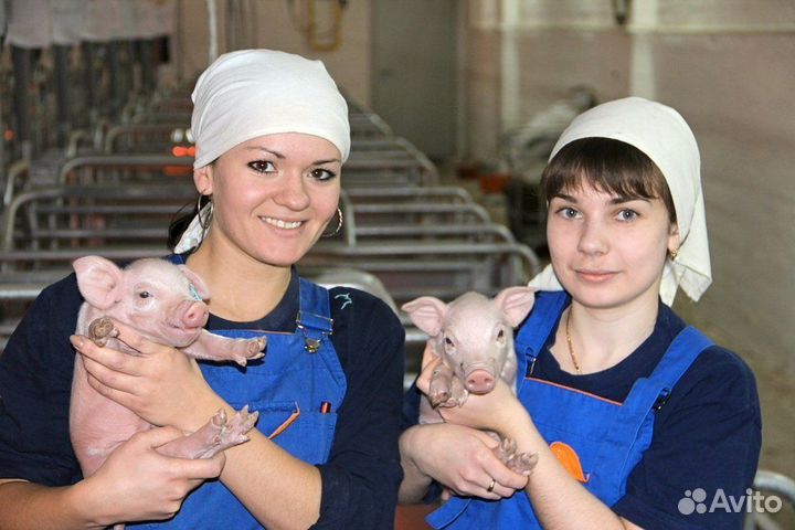 Оператор по уходу за животными