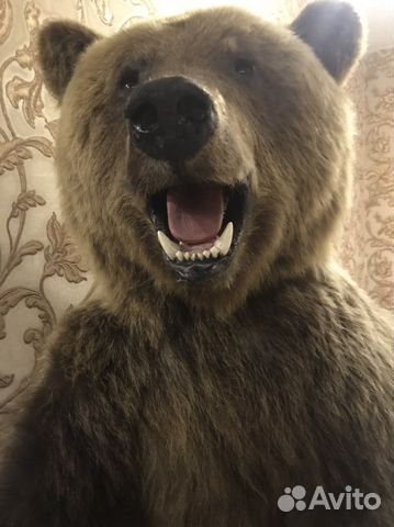 Продам мишаню