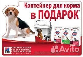 Корма Хиллс (Hills)