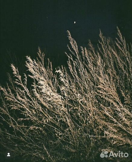 Плёночный фотоаппарат kodak