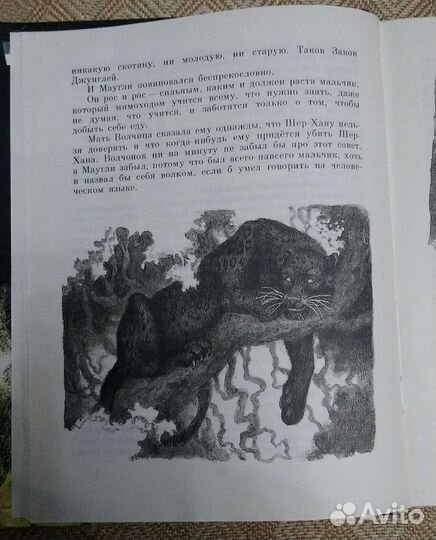 Редьярд Киплинг 