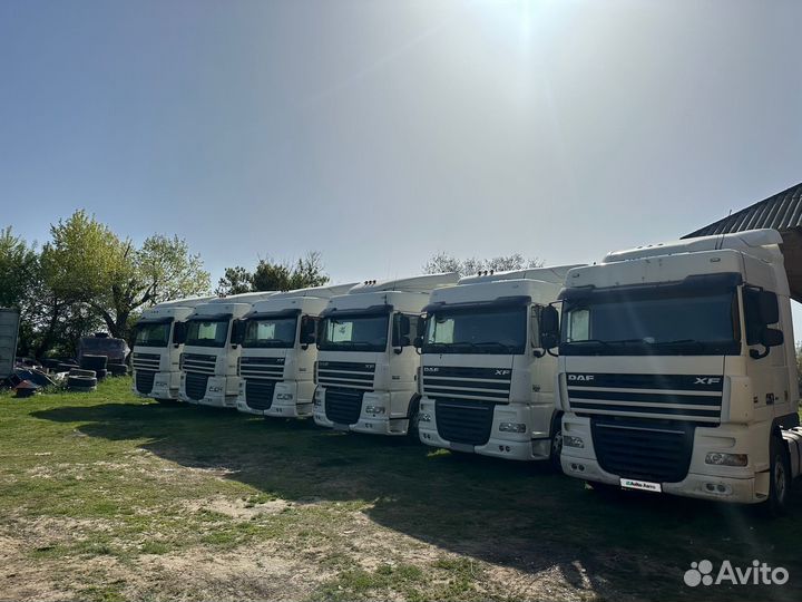 DAF FT XF 105.460, 2017