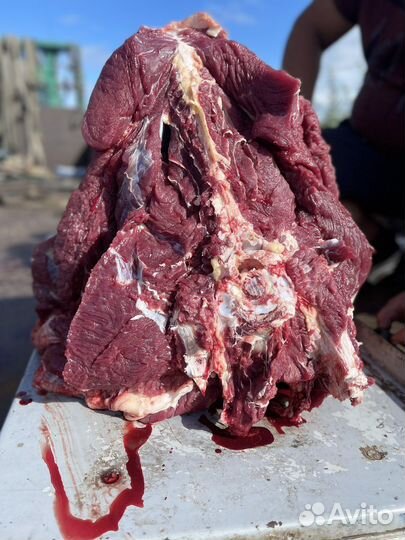Мясо говядина(телятина)