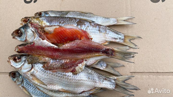 Астраханская вобла