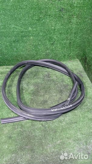 Уплотнитель двери Ford Focus