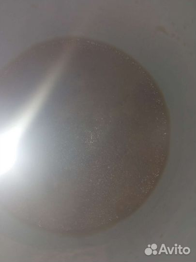 Живой корм для мальков аквариумных рыбок