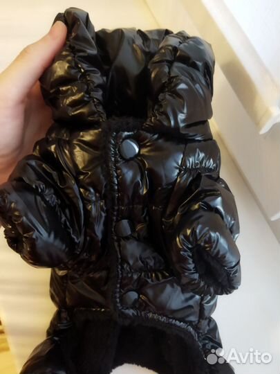 Комбинезон для маленькой собаки