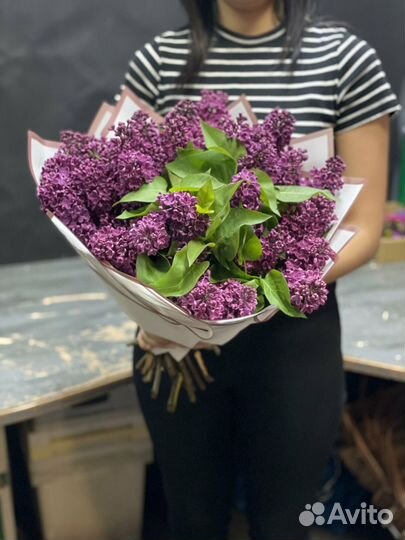 Сирень/ букет сирени/ цветы с доставкой