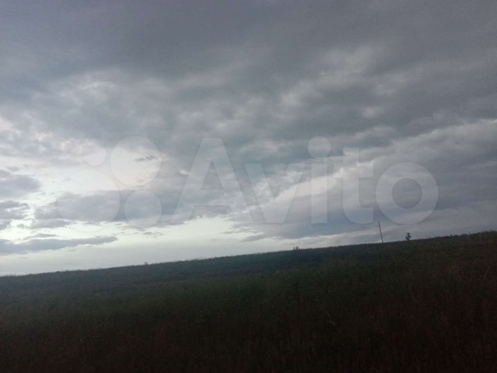 Участок 55 га (СНТ, ДНП)