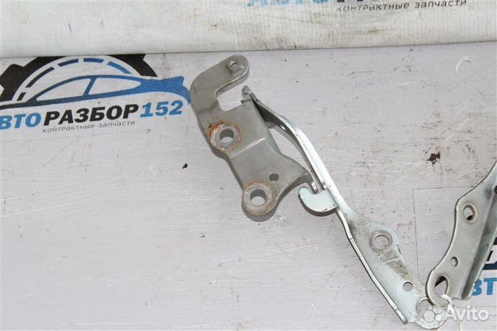 Петли капота передние Toyota Ipsum ACM21 1azfse