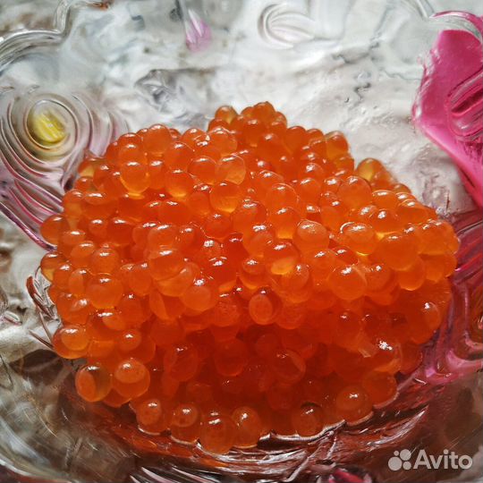 Красная икра горбуши 2023